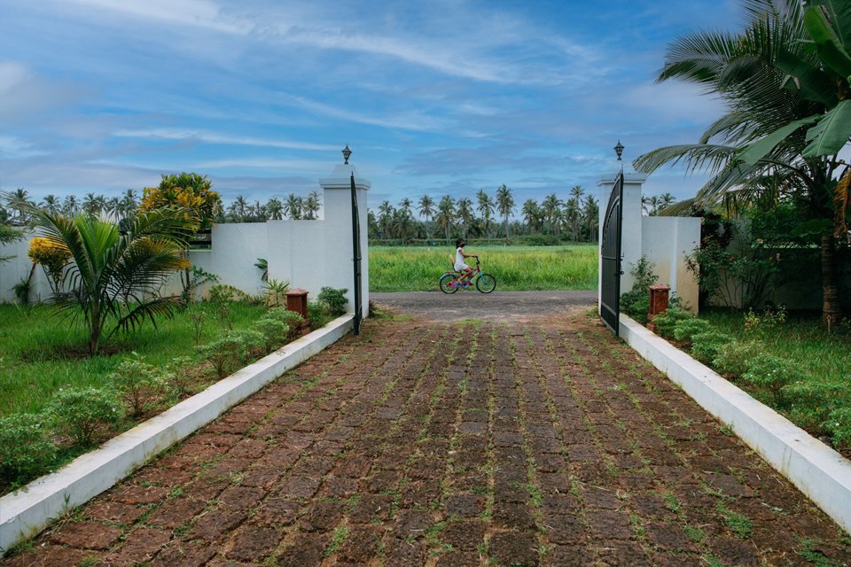 Poothali Homestay — paddy fields stretching to the horizon, Padannakkad